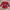 Reebok Sportswear Jersey Pria Red