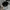 MLB Streetwear Skater Hat Pria white black photo 5