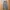 Uniqlo Streetwear Gorpcore Tracksuit Pria Gray