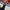 Dickies Vintage Streetwear Short Pria navy photo 6