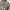 Supreme Streetwear Y2K Hoody Pria gray photo 3