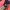 Adidas Gorpcore Puffer jacket Pria red black photo 3