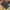Nike Air Jordan Streetwear Y2K Short Pria gray photo 2