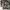 Japanese brand Vintage Y2K Sweatshirt Pria white photo 3