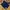 Adidas Streetwear Sportswear Short Pria Navy