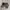 Carhartt Vintage Y2K Pria black photo 1
