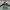 Banana Republic Gorpcore Pria green photo 1