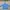 Gorpcore Windbreaker Pria blue photo 1
