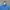 Gorpcore Windbreaker Pria blue photo 3
