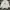 Polo Ralph Lauren Streetwear Casual Hoody Pria white photo 1