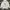 Polo Ralph Lauren Streetwear Casual Hoody Pria White