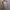 Y2K Minimalist Jumpsuit Wanita pink photo 2