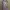 Y2K Minimalist Jumpsuit Wanita pink photo 1