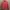 Y2K Grunge Harrington jacket Wanita orange photo 1