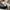 Hard Rock Cafe Vintage Streetwear Hat Pria white photo 4