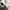 Hard Rock Cafe Vintage Streetwear Hat Pria white photo 6