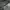 Adidas Sportswear Track jacket Pria gray photo 4