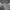 Adidas Sportswear Track jacket Pria gray photo 3