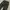 Y2K Formal pants Pria multicolor photo 3