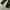 Y2K Formal pants Pria multicolor photo 4