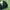 Vintage Indie Blazer Pria green photo 4