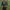 Vintage Indie Blazer Pria green photo 2