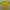 Sportswear Jersey Pria yellow photo 1