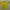Sportswear Jersey Pria Yellow