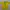 Sportswear Jersey Pria yellow photo 2
