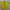 Sportswear Jersey Pria Yellow