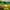 Sportswear Jersey Pria yellow photo 3