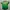 Sportswear Jersey Pria multicolor photo 1