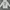 Japanese brand Skater Casual Hoody Pria white photo 1