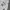 Japanese brand Skater Casual Hoody Pria white photo 2