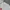 Japanese brand Skater Casual Hoody Pria white photo 6