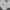 Japanese brand Skater Casual Hoody Pria white photo 3