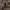 Tommy Hilfiger Vintage Coquette Cardigan Pria brown photo 3