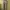 Fear of God ESSENTIALS Casual Sweatpants & Joggers Pria multicolor photo 7