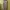 Fear of God ESSENTIALS Casual Sweatpants & Joggers Pria multicolor photo 6