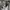 Fear of God ESSENTIALS Casual Sweatpants & Joggers Pria multicolor photo 8