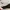 Golden Goose Luxury Minimalist Sneakers Wanita white photo 4