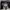 Champion Streetwear Casual Jumper Pria white black photo 3