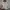 Champion Streetwear Casual Jumper Pria white black photo 1