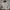 Champion Streetwear Casual Jumper Pria White Black