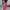 Vintage Wanita Pink