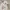 Guess Streetwear Hoody Pria white photo 2