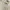 Guess Streetwear Hoody Pria white photo 3