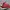 Nike Vintage Streetwear Sneakers Pria Red Black