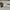 C.P. Company Streetwear Casual Hat Pria multicolor photo 1