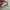 C.P. Company Streetwear Casual Hat Pria multicolor photo 7